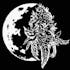 Logo for the brand Moon Flower CBD